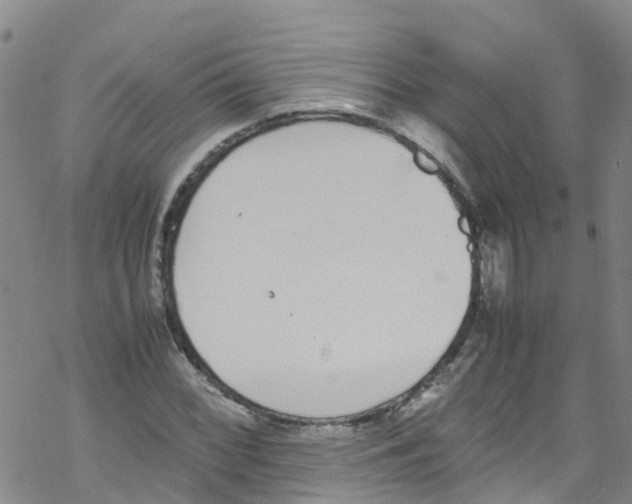 X0000067951068200605112119