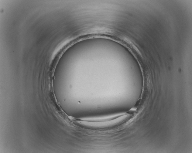 X0000067951069200605112119