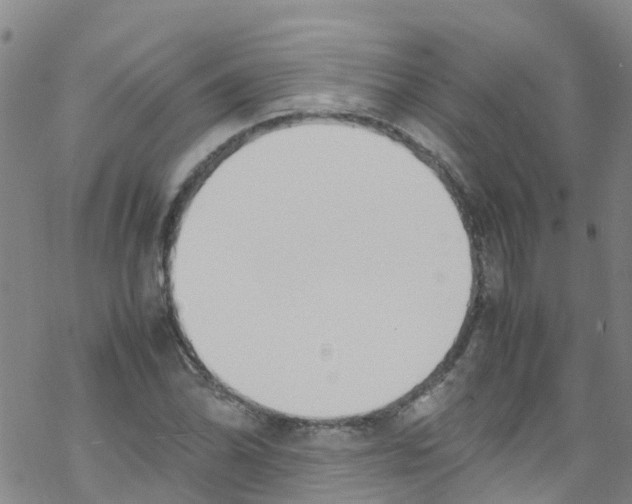 X0000067951070200605112119