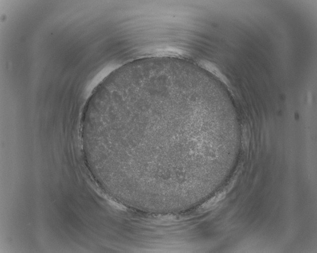 X0000067951071200605112119