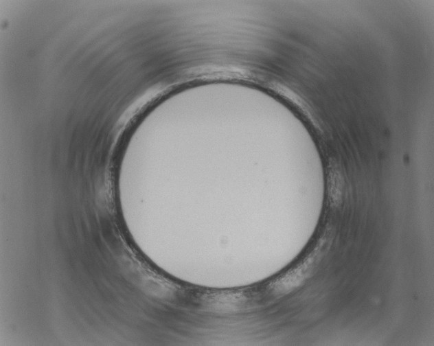 X0000067951074200605112119