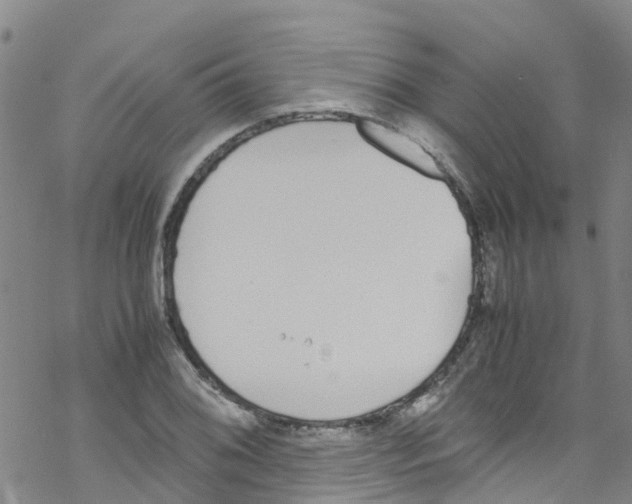 X0000067951076200605112119