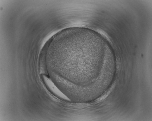 X0000067951077200605112119