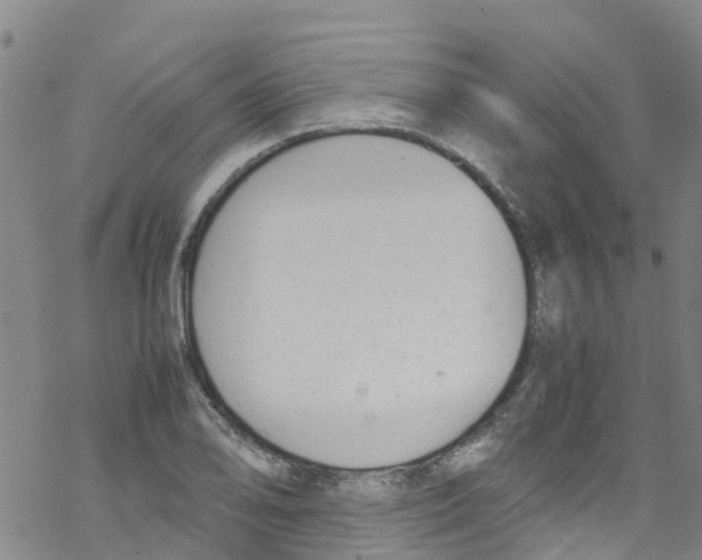 X0000067951078200605112119