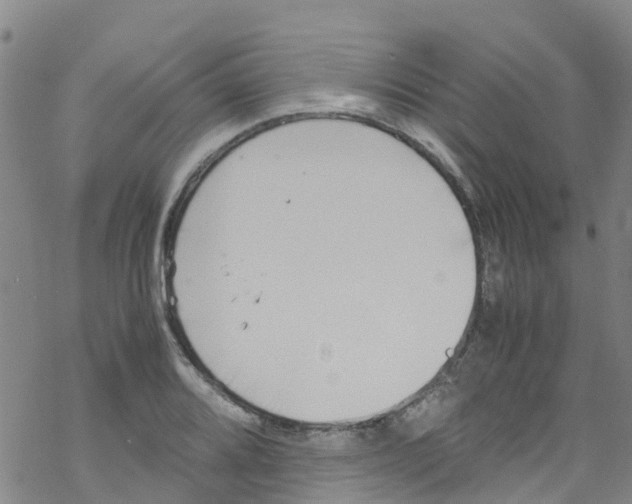 X0000067951080200605112119