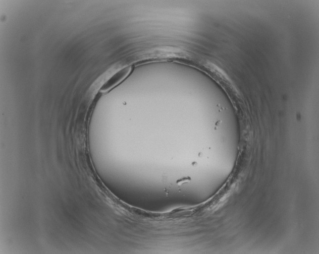 X0000067951081200605112119