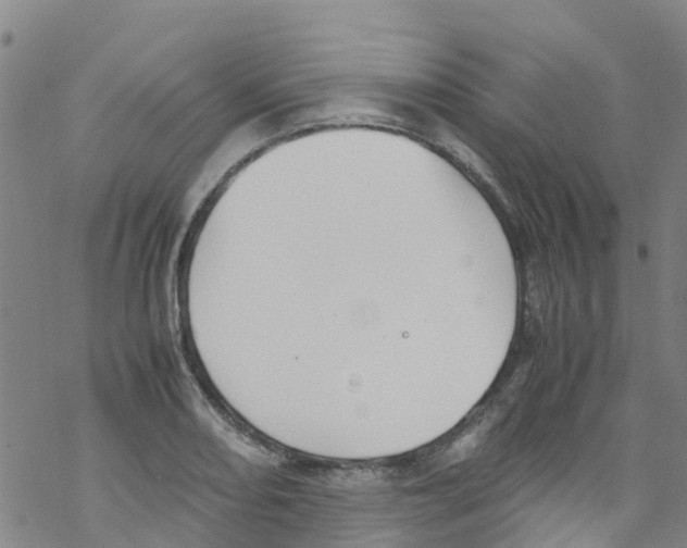 X0000067951082200605112119