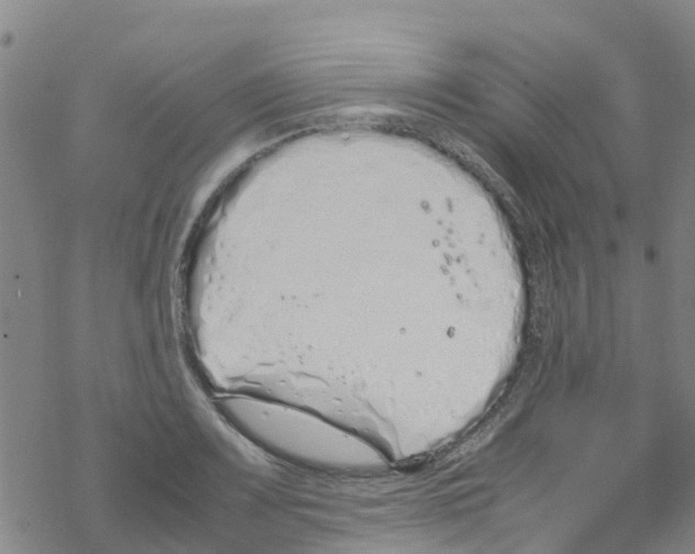 X0000067951083200605112119