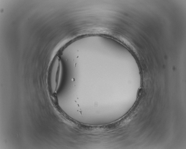 X0000067951085200605112119