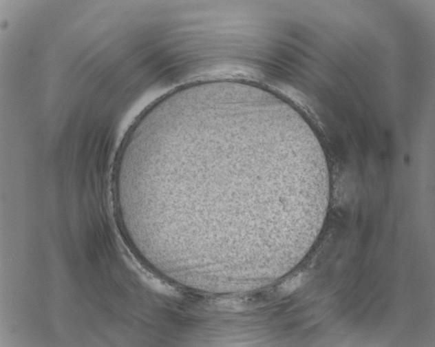 X0000067951086200605112119