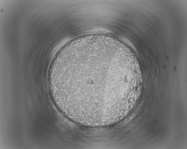 X0000067951087200605112119