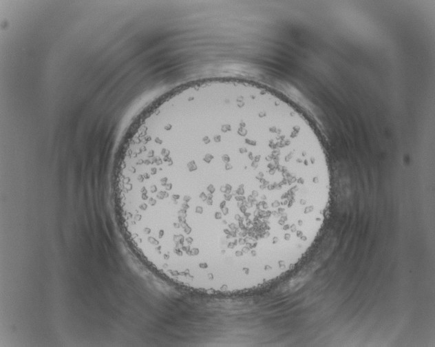 X0000067951088200605112119