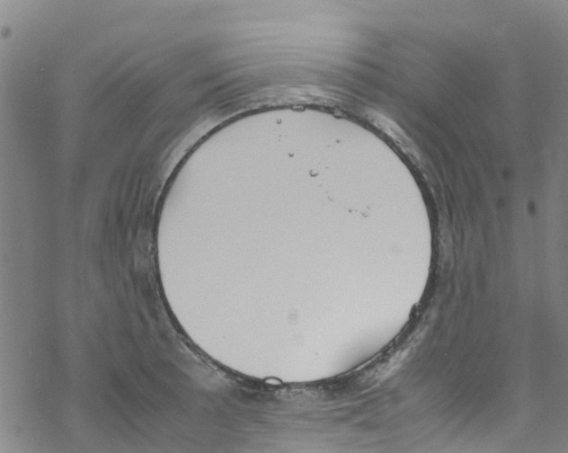 X0000067951089200605112119