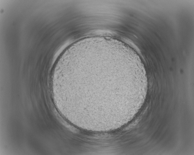 X0000067951091200605112119