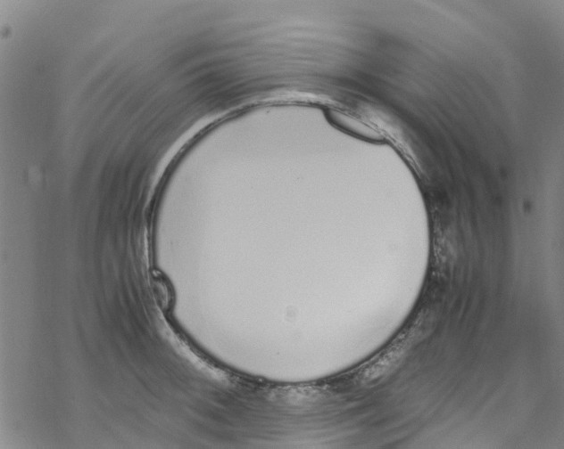 X0000067951092200605112119