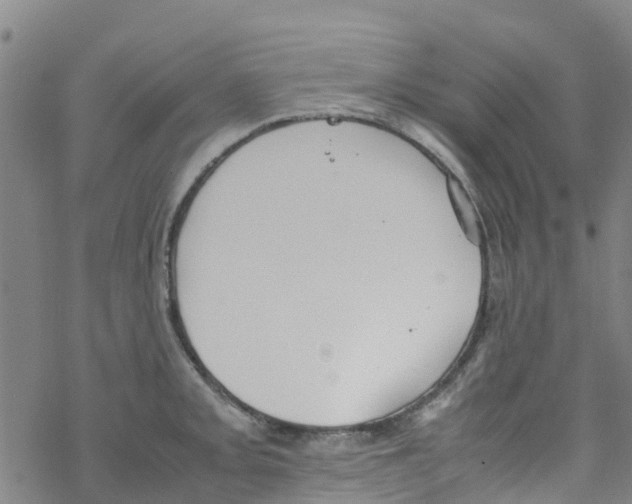 X0000067951093200605112119