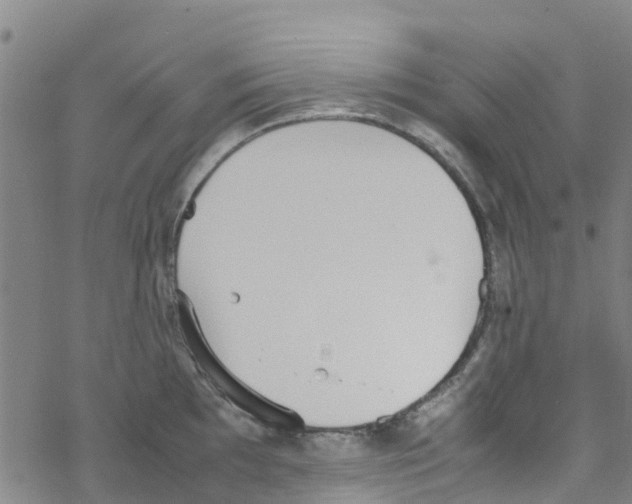 X0000067951097200605112119