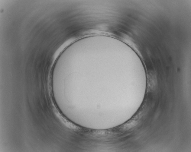 X0000067951098200605112119