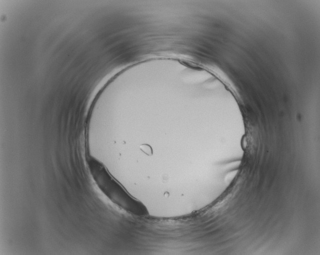 X0000067951100200605112119