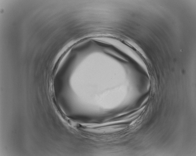 X0000067951101200605112119