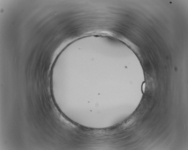 X0000067951102200605112119