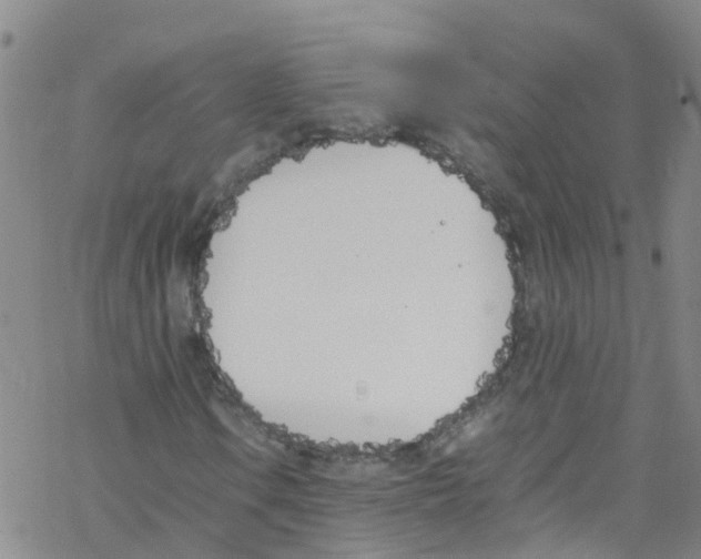 X0000067951106200605112118