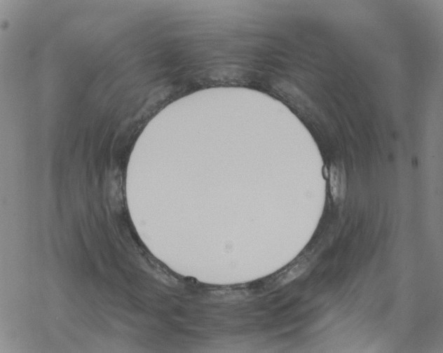 X0000067951107200605112118