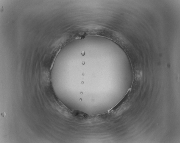 X0000067951108200605112118