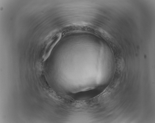 X0000067951110200605112118