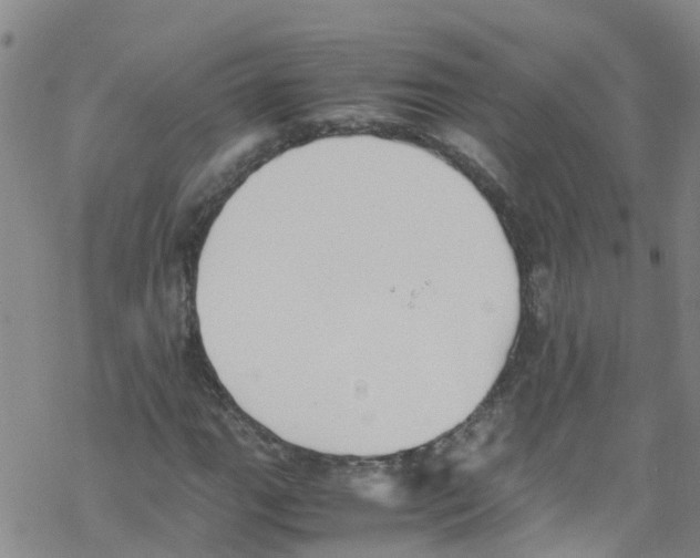 X0000067951111200605112118