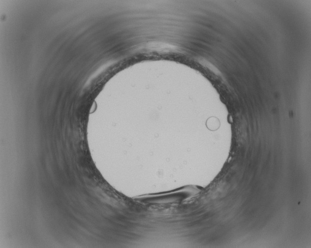 X0000067951112200605112118