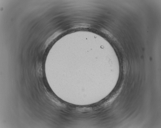 X0000067951113200605112118