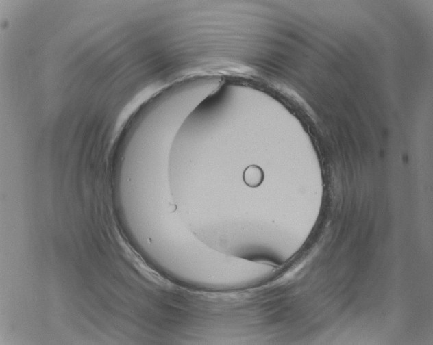 X0000067951114200605112118