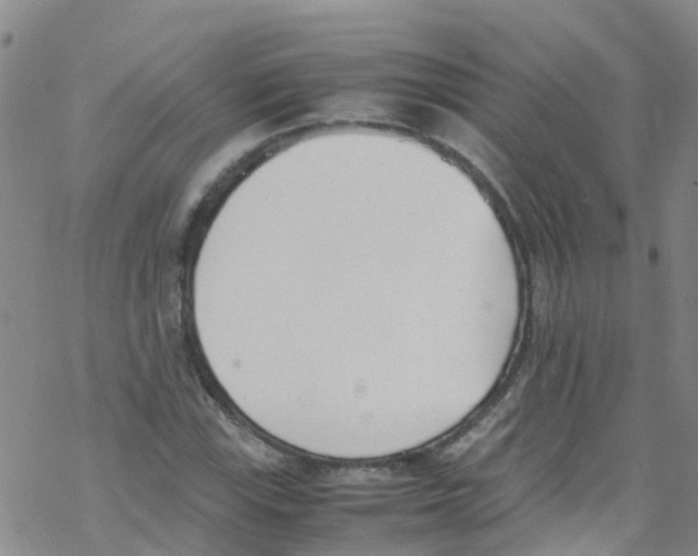 X0000067951115200605112118