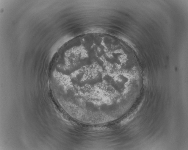 X0000067951117200605112118