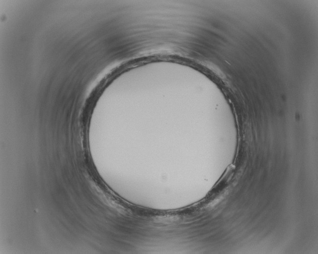 X0000067951118200605112118