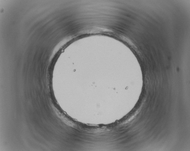 X0000067951122200605112118