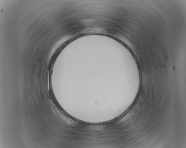 X0000067951123200605112118