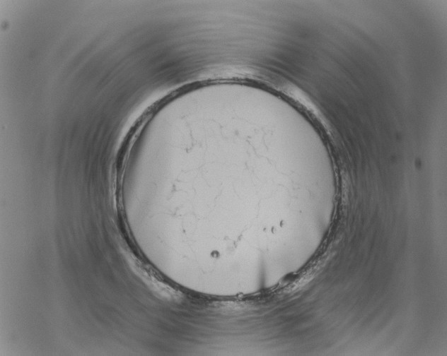 X0000067951124200605112118