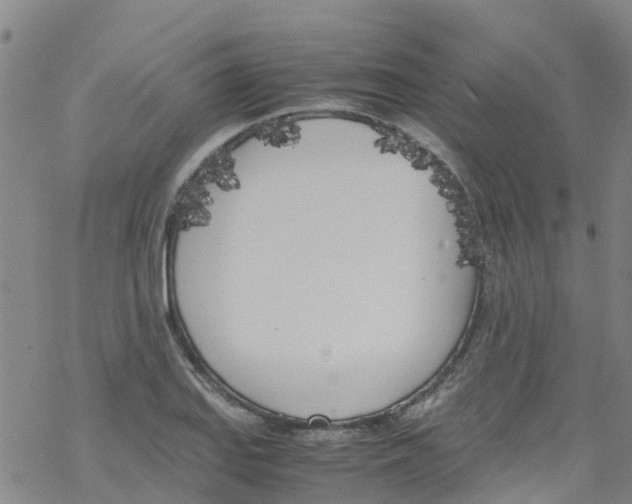 X0000067951127200605112118