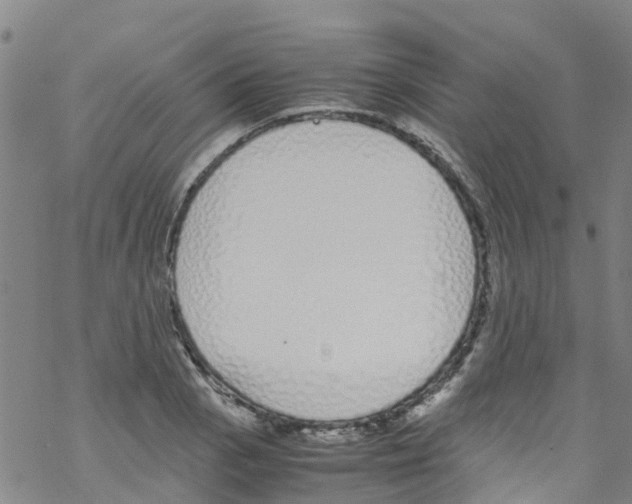 X0000067951129200605112118