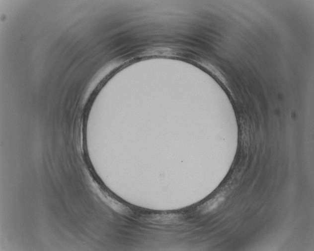 X0000067951131200605112118