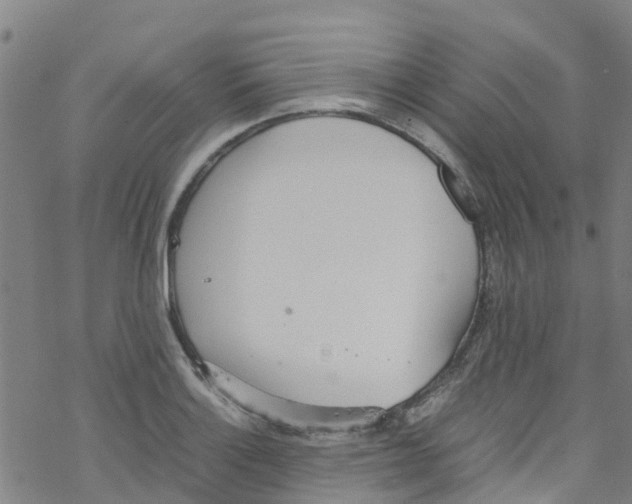 X0000067951132200605112118