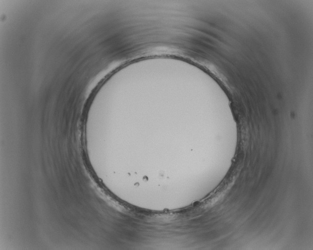 X0000067951134200605112118