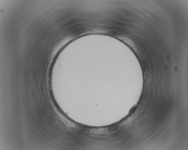 X0000067951135200605112118