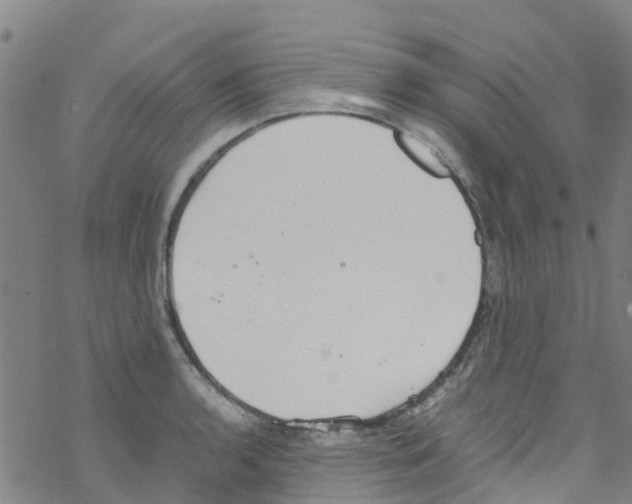 X0000067951136200605112118