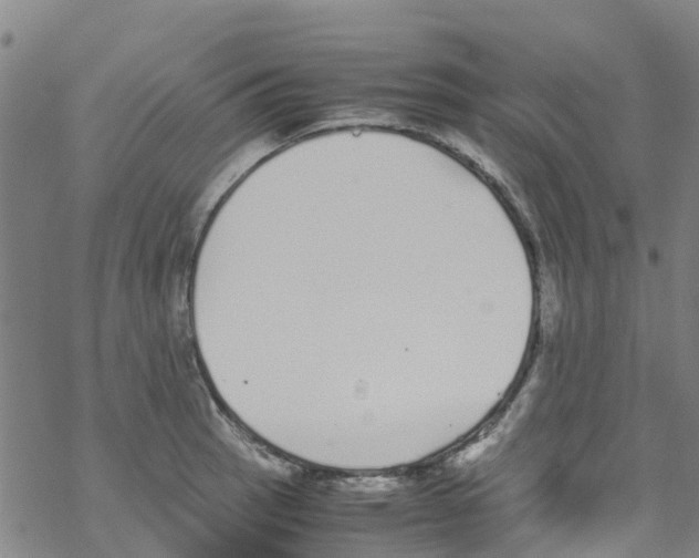 X0000067951137200605112118