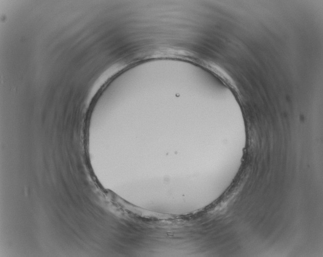 X0000067951138200605112118