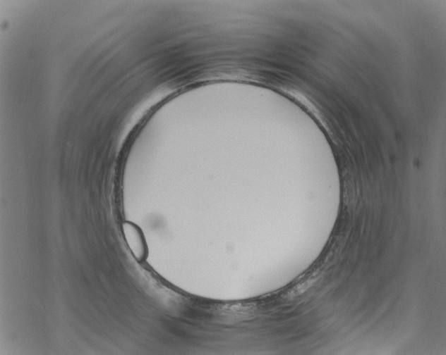 X0000067951139200605112118