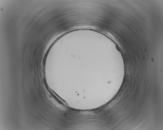 X0000067951140200605112118